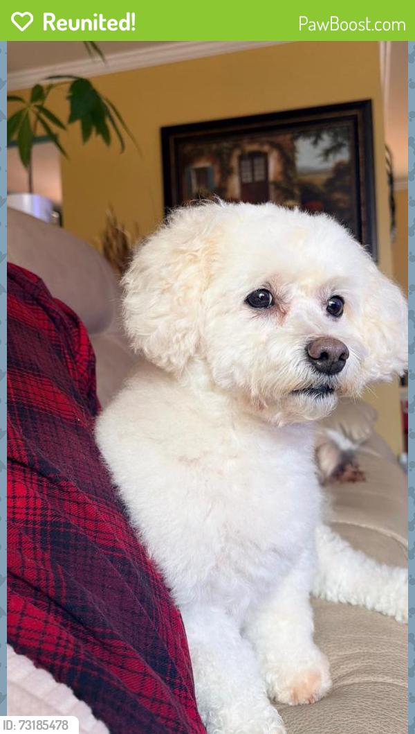 Reunited Male Dog last seen Surry woods ct, Spotsylvania County, VA 22407