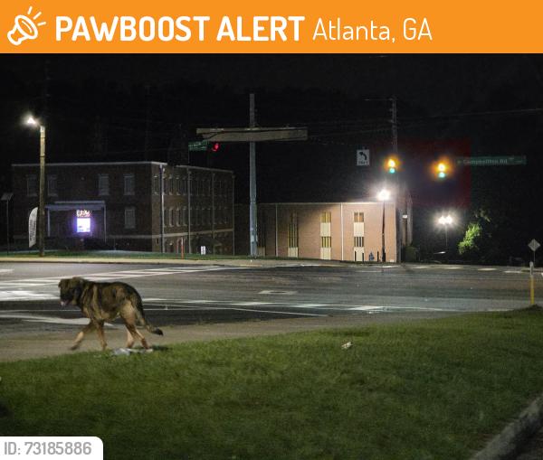 Found/Stray Male Dog last seen Raceway Gas Station, Atlanta, GA 30331