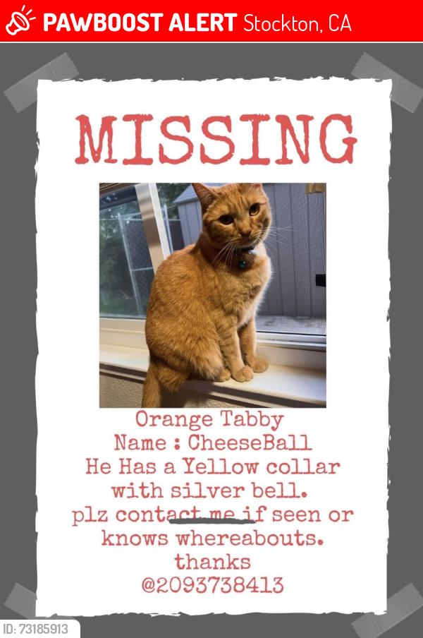Lost Male Cat last seen Lorraine Ave, Stockton, CA 95210
