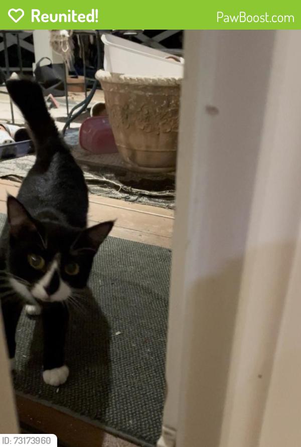 Reunited Male Cat last seen Near S Columbia Pl, Tulsa, OK 74136