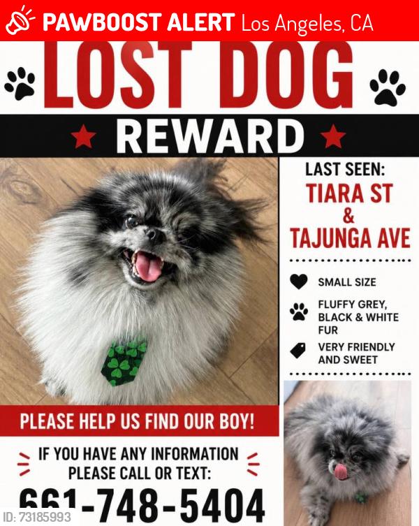 Lost Male Dog last seen Tiara St, Los Angeles, CA 91601