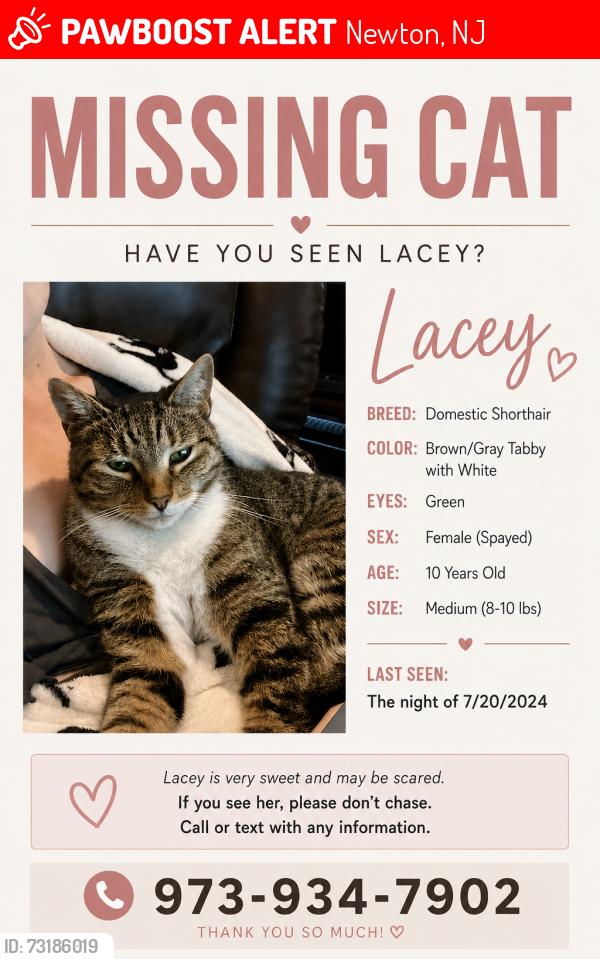 Lost Female Cat last seen Liberty trail, Andover Sparta road, Newton, NJ 07860