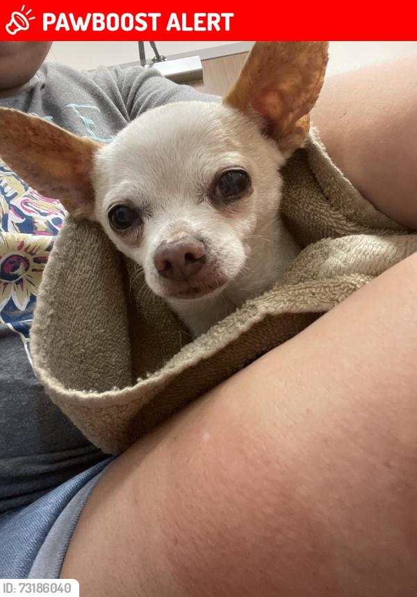 Lost Male Dog last seen Near and 90 kemp tx, Kaufman County, TX 75147