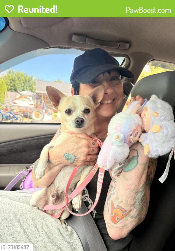 Reunited Male Dog last seen NE couch st, Portland, OR 97230