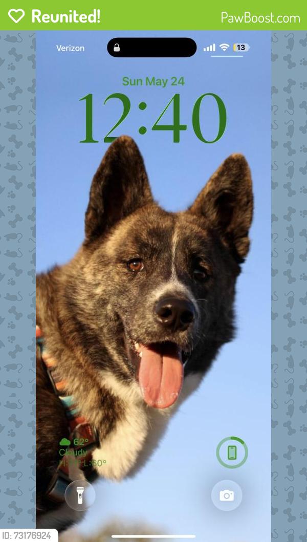 Reunited Male Dog last seen Near Park Blvd, San Diego, CA 92103, USA, San Diego, CA 92103