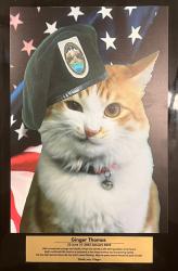 Lost Female Cat last seen Scenic, Central Point, OR 97502