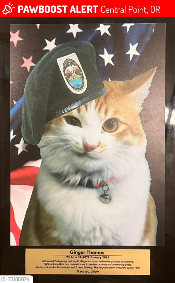 Lost Female Cat last seen Scenic, Central Point, OR 97502