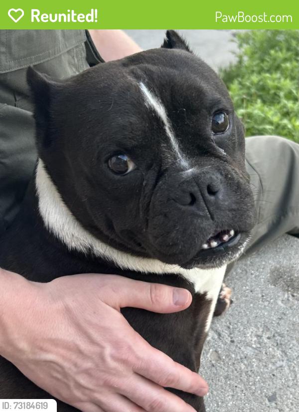 Reunited Unknown Dog last seen W 5775 s, Taylorsville, UT 84129