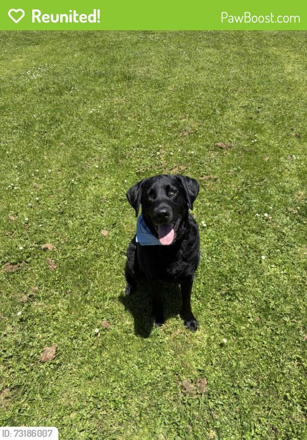 Reunited Male Dog last seen Target, San Francisco, CA 94118
