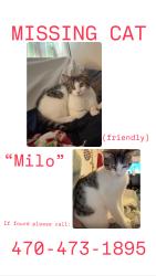 Reunited Male Cat last seen Harrison rd, Carrollton, GA 30117