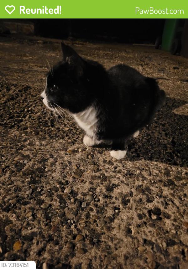 Reunited Unknown Cat last seen Mid way along the road, Burgass Rd, England 