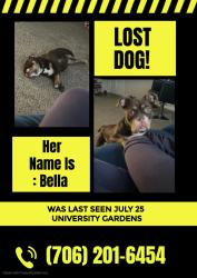 Reunited Female Dog last seen Baxter St, Fortson Dr, Dudley Dr, by kroger's fuel station, Athens, GA 30605