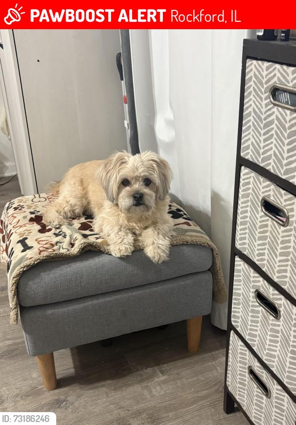 Lost Male Dog last seen Kewaskee, Rockford, IL 61104