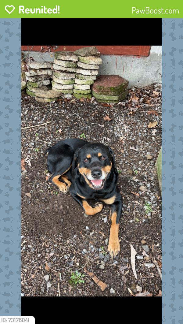 Reunited Male Dog last seen Route 9, Morgan County, WV 25427