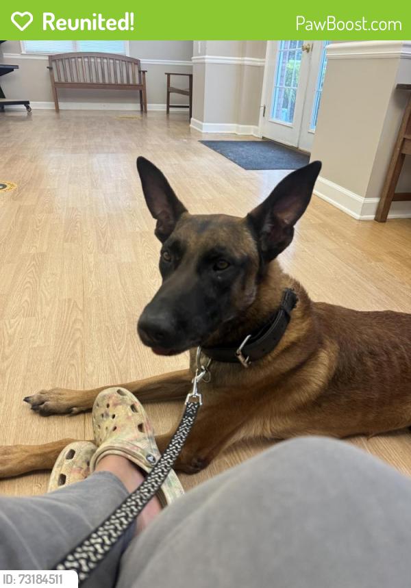 Reunited Male Dog last seen Near schofield drive hampton ga 30228, Hampton, GA 30228