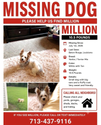 Lost Male Dog last seen Cedar Pointe blvd, Baton Rouge, LA 70805