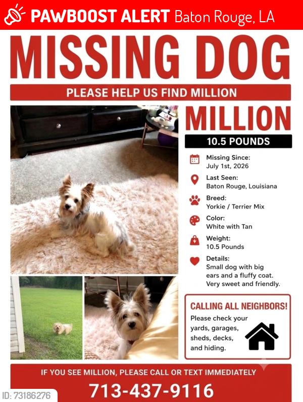 Lost Male Dog last seen Cedar Pointe blvd, Baton Rouge, LA 70805