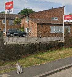 Found/Stray Female Cat last seen Glencoyne Square, Southmead, Bristol City, England BS10 6TP