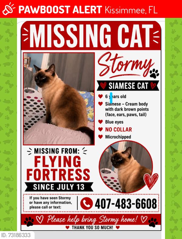 Lost Female Cat last seen Hoagland and Flying Fortress, Kissimmee, FL 34741