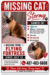 Lost Female Cat last seen Hoagland and Flying Fortress, Kissimmee, FL 34741