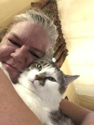 Reunited Male Cat last seen Mountain View dr , Blackstock rd , w Clark rd, Inman, SC 29349