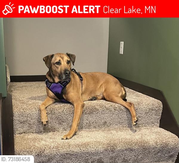 Lost Female Dog last seen Canine Cabin Boarding, Clear Lake, MN 55319