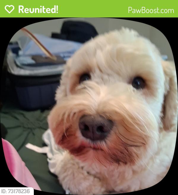 Reunited Male Dog last seen He left from the front door when no one was looking, please help me, Greensboro, NC 27455