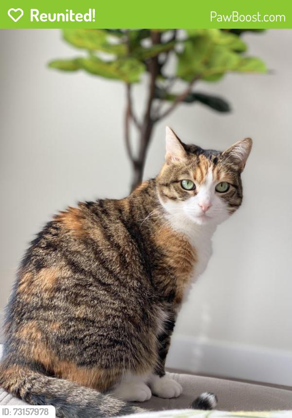 Reunited Female Cat last seen Mudminnow Cres, Ottawa, ON 