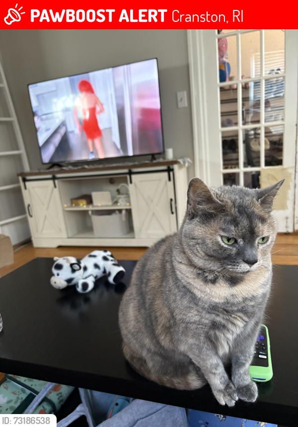 Lost Female Cat last seen Pawtuxet Ave Cranston, Cranston, RI 02905