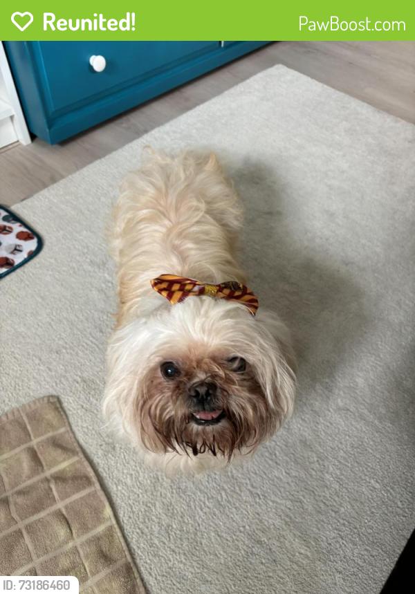 Reunited Female Dog last seen Unity park, Greenville, SC 29611