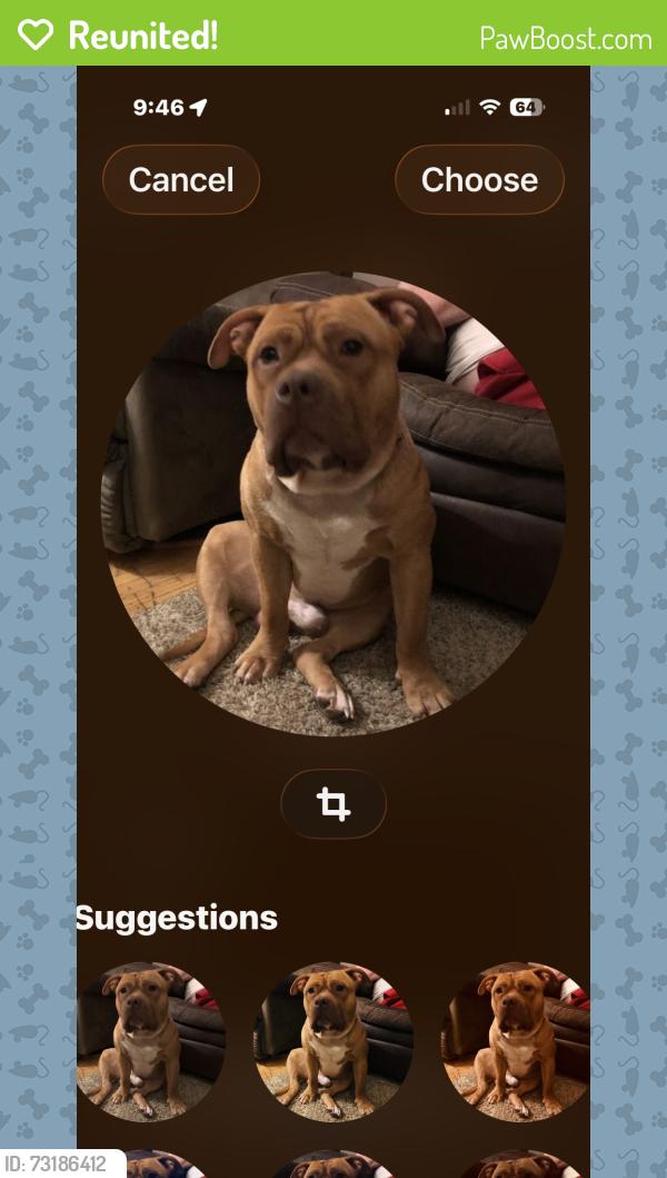 Reunited Male Dog last seen Star Rest Circle, Louisville, KY 40272