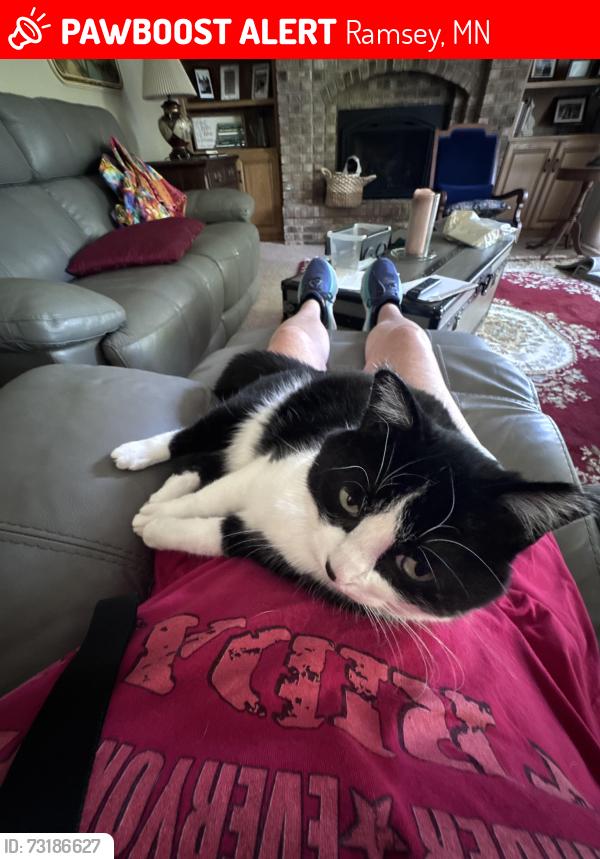 Lost Female Cat last seen Zuni St and 148th Ramsey mn, Ramsey, MN 55303