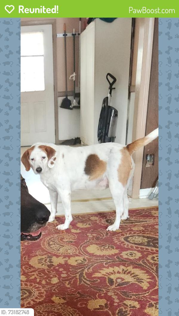 Reunited Male Dog last seen Near summers landing, Fredericksburg, VA 22407
