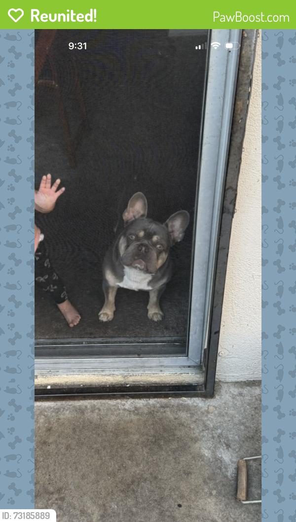 Reunited Male Dog last seen Kavanagh, Modesto, CA 95350