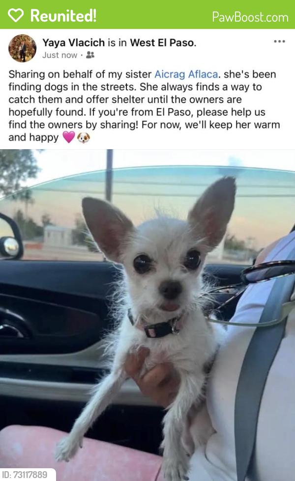 Reunited Female Dog last seen Palmdale street and morning Dawn avenue, El Paso, TX 79932