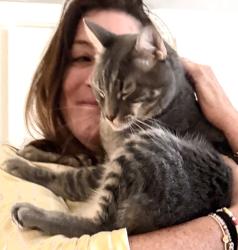 Reunited Male Cat last seen Castle Street and Montague Street, San Francisco, CA 94133