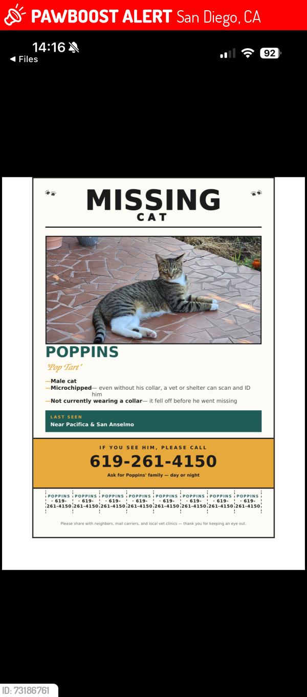 Lost Male Cat last seen Pacifica and San Anselmo, San Diego, CA 92117