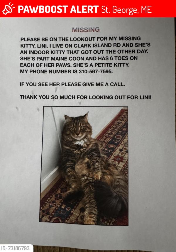 Lost Female Cat last seen Clark Island Rd, St. George, ME 04859