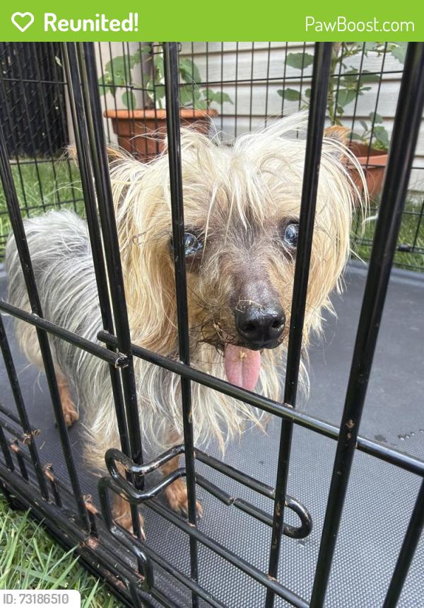 Reunited Unknown Dog last seen Dumas, 坎迪亚克, QC 