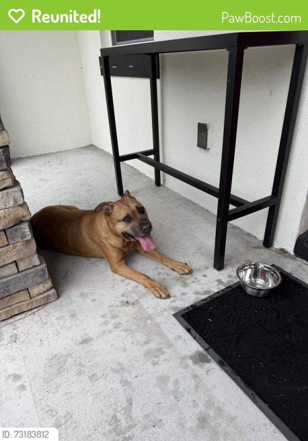 Reunited Male Dog last seen Wing rd SW and Watoga Ave. Palm Bay, FL 32908, Palm Bay, FL 32907