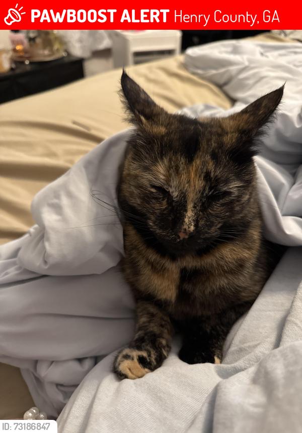Lost Female Cat last seen East Atlanta Rd, Carriage Cir Stockbridge, Henry County, GA 30281