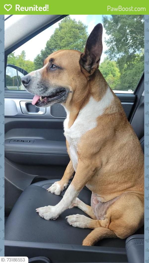 Reunited Female Dog last seen Grant and Kitzman, Houston, TX 77429
