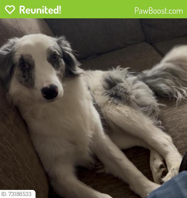 Reunited Male Dog last seen Dog Park 8pm, Aurora, CO 80014