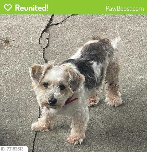 Reunited Male Dog last seen Tacos Puro Jalisco, Pomona, CA 91766