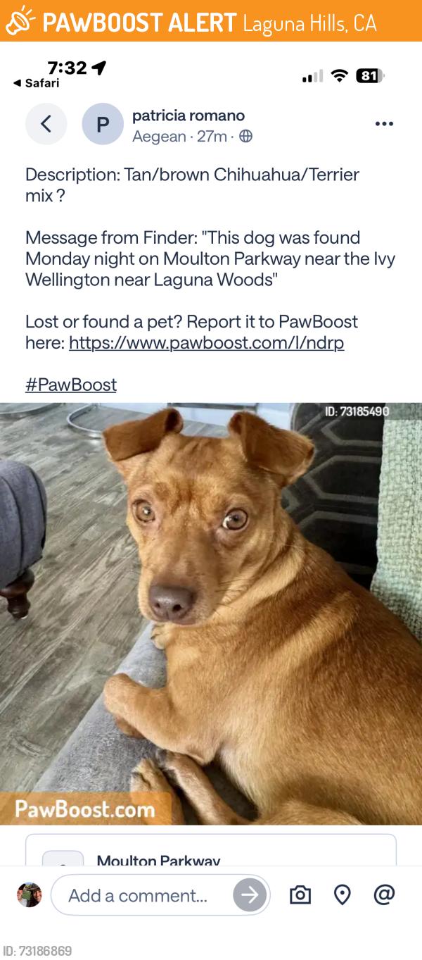Found/Stray Male Dog last seen Moulton and Glenwood, Laguna Hills, CA 92609