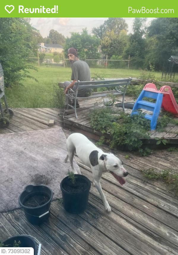 Reunited Female Dog last seen Spruce wood Ct, Bonaire, GA 31005
