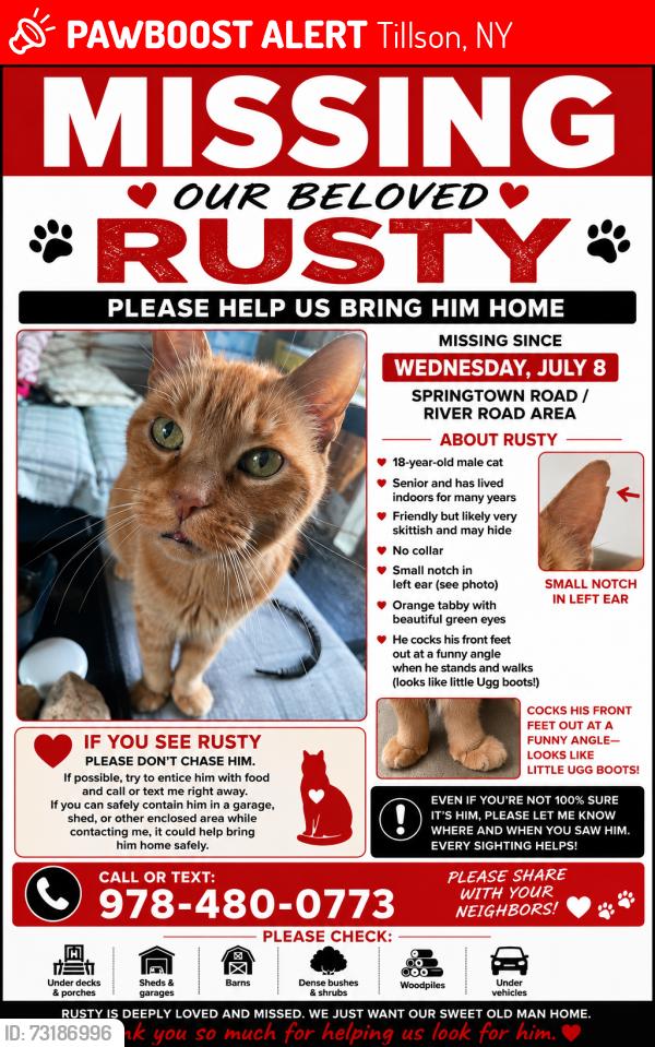 Lost Male Cat last seen springtown rd & river rd New Paltz/Tillson, Tillson, NY 12561