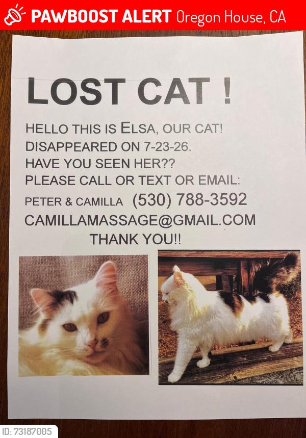 Lost Female Cat last seen Rices Crossing, Oregon House, CA 95962