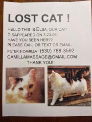 Lost Female Cat last seen Rices Crossing, Oregon House, CA 95962