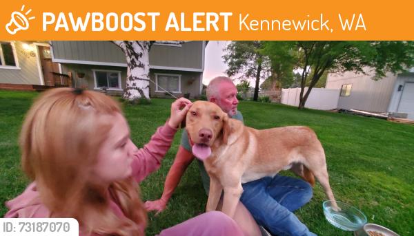 Found/Stray Male Dog last seen W 15th Ave. And S Van Buren place, Kennewick, WA 99338